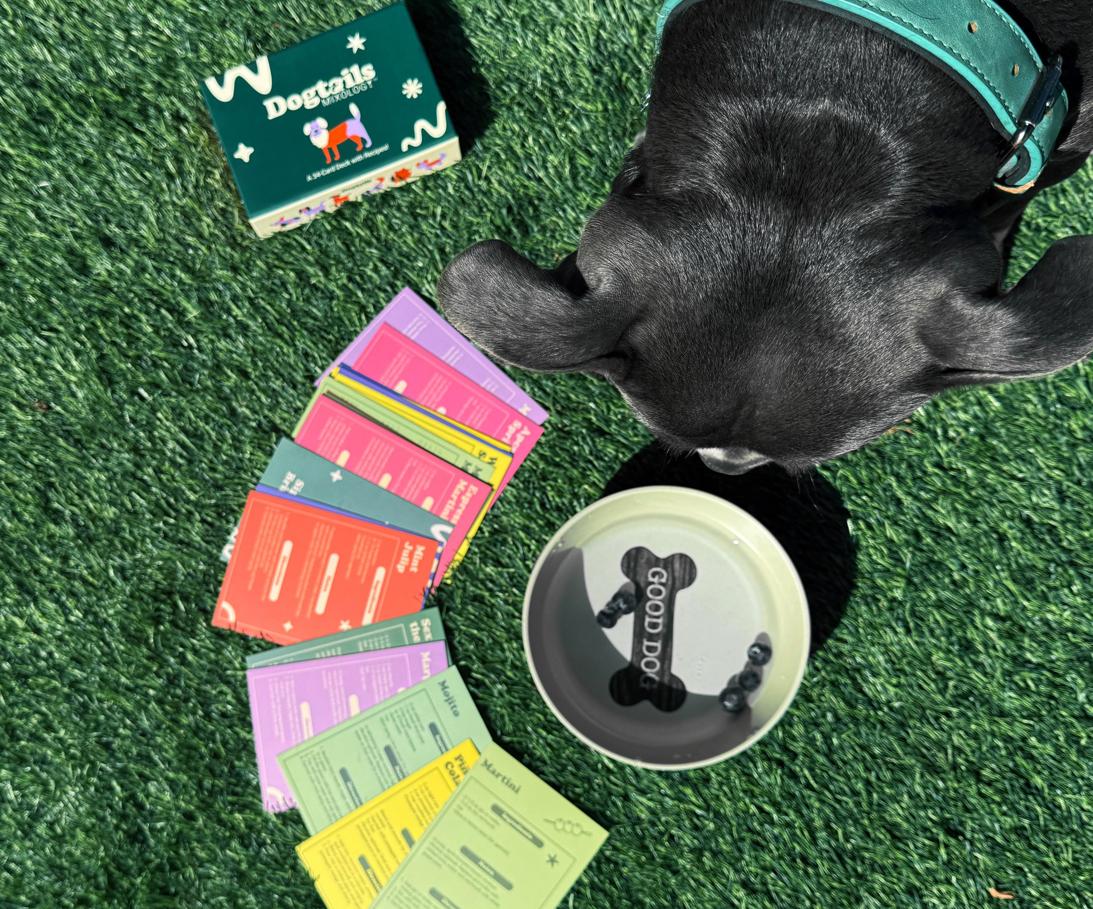 How to Host a Dog-Friendly Gathering Without Leaving Anyone Out