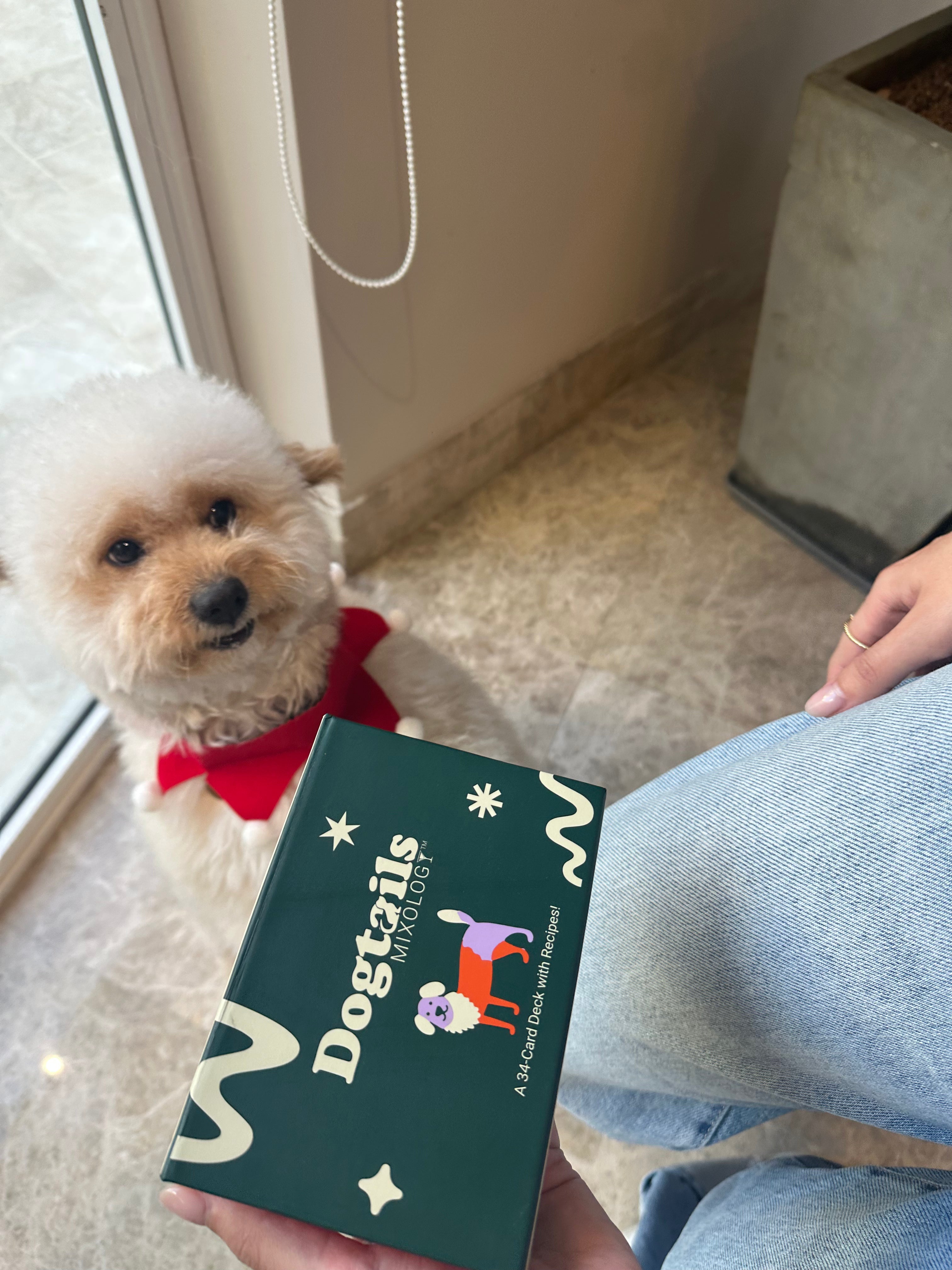 What Makes a Dog Lover Gift Feel Truly Thoughtful