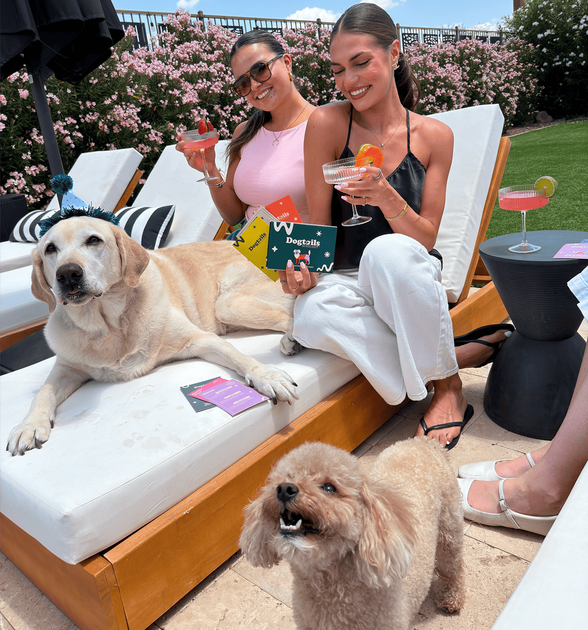 Celebrate Together. Sip Together.